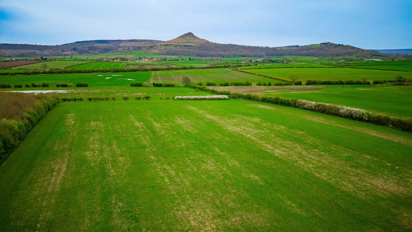 Land