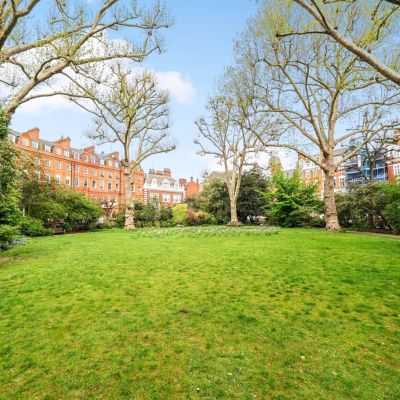 Communal Garden