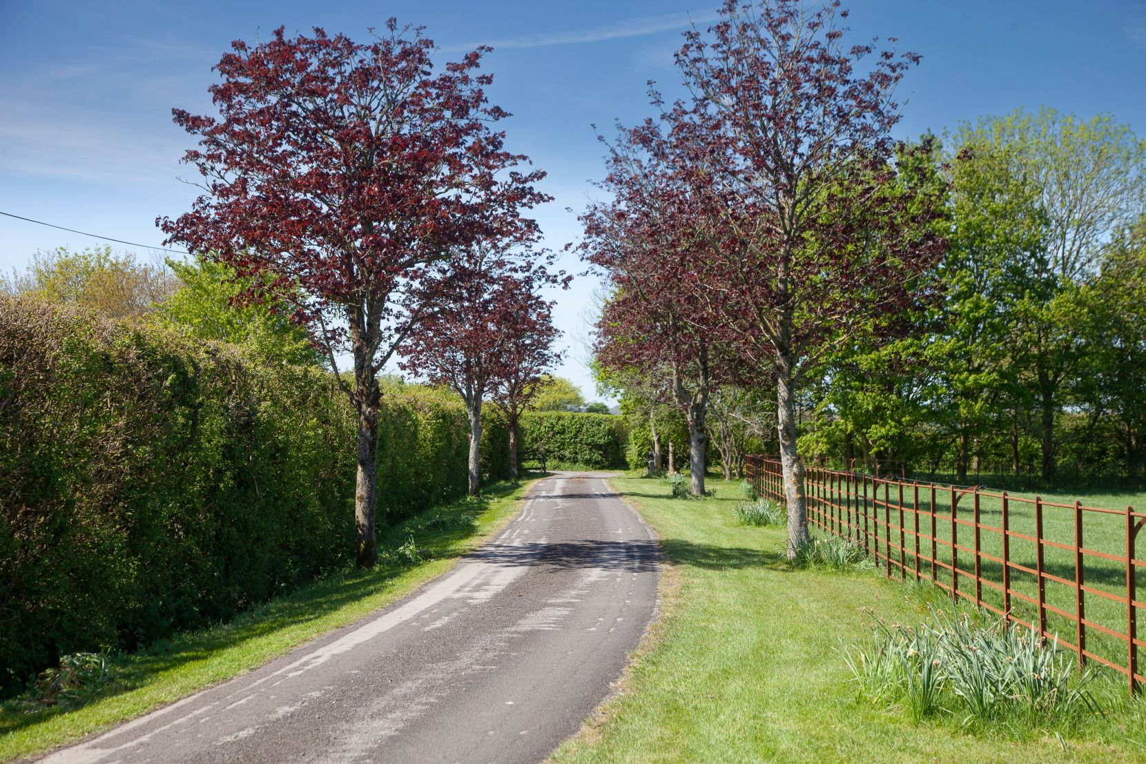 Driveway
