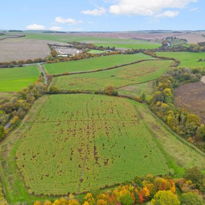 Picture No. 26