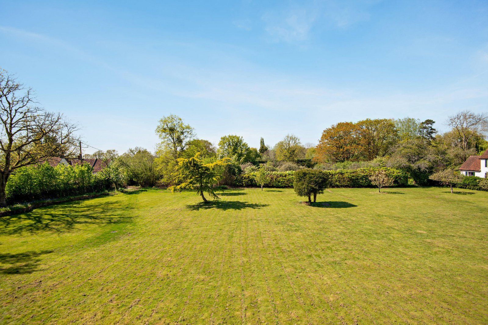Extensive Gardens
