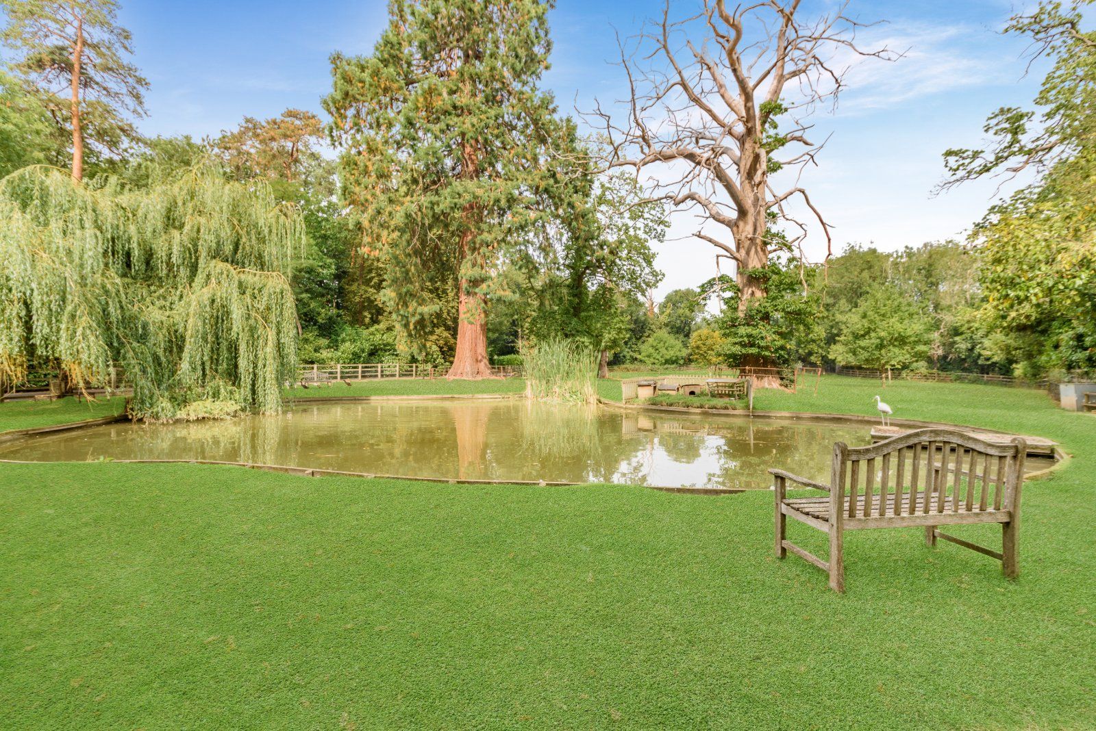 Pond