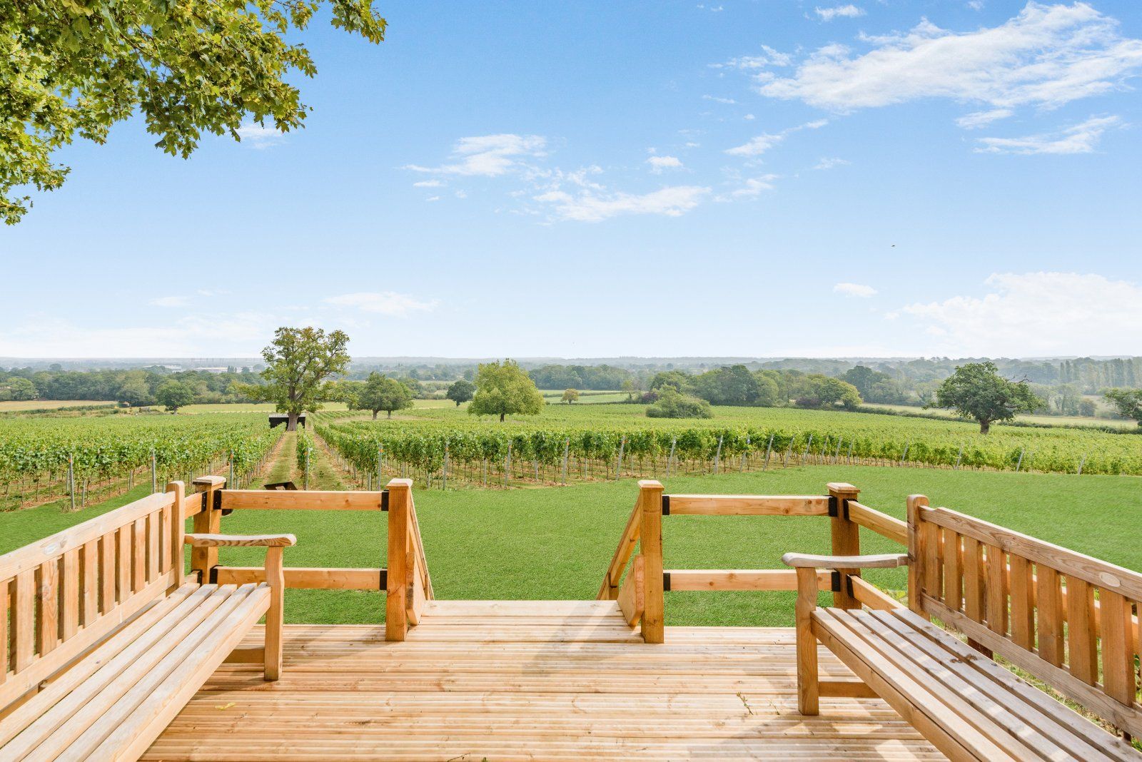 Viewing Platform