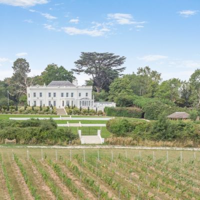 Vineyard