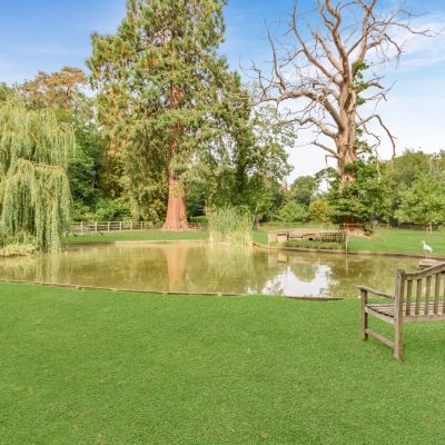 Pond