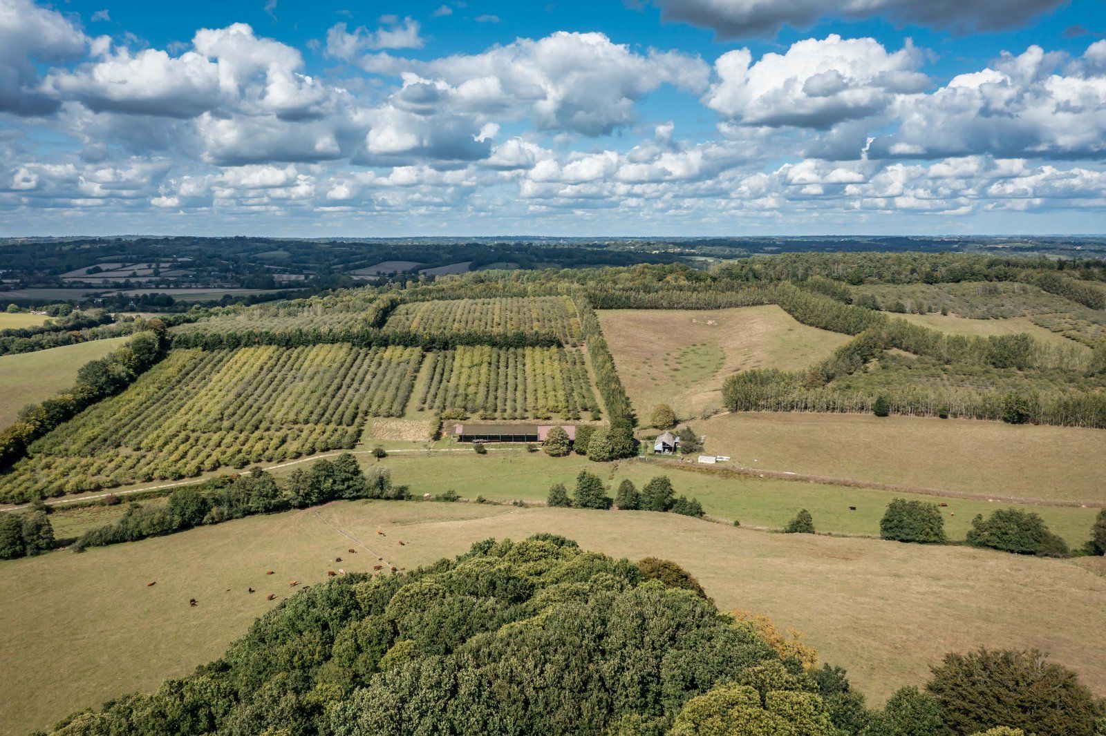Orchards