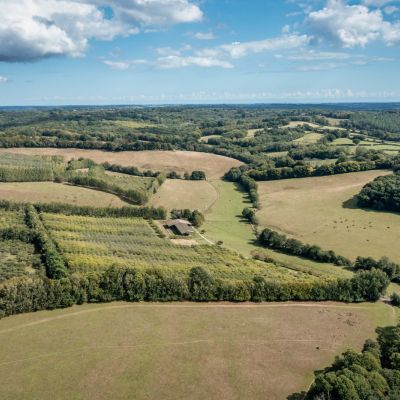 New Pond Farm