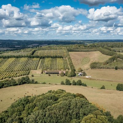 Orchards