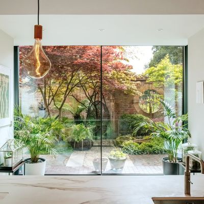 View To Garden