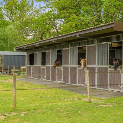 Stables