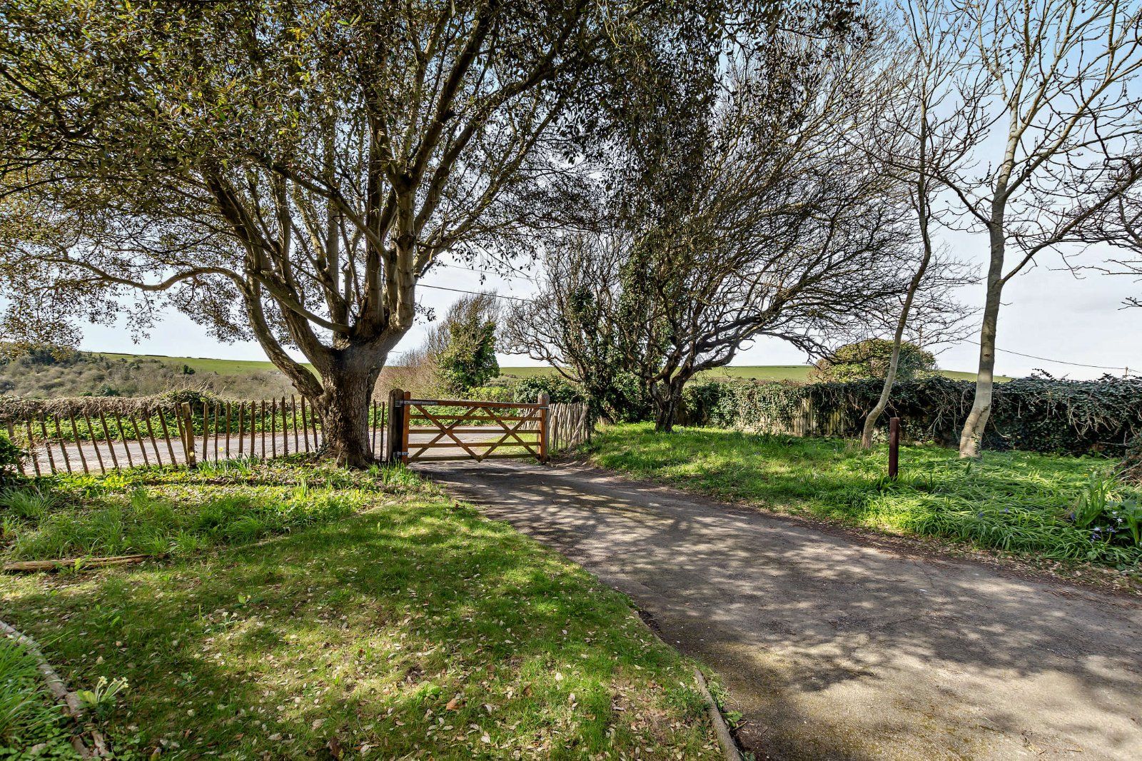 Driveway