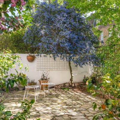 Sunny Garden