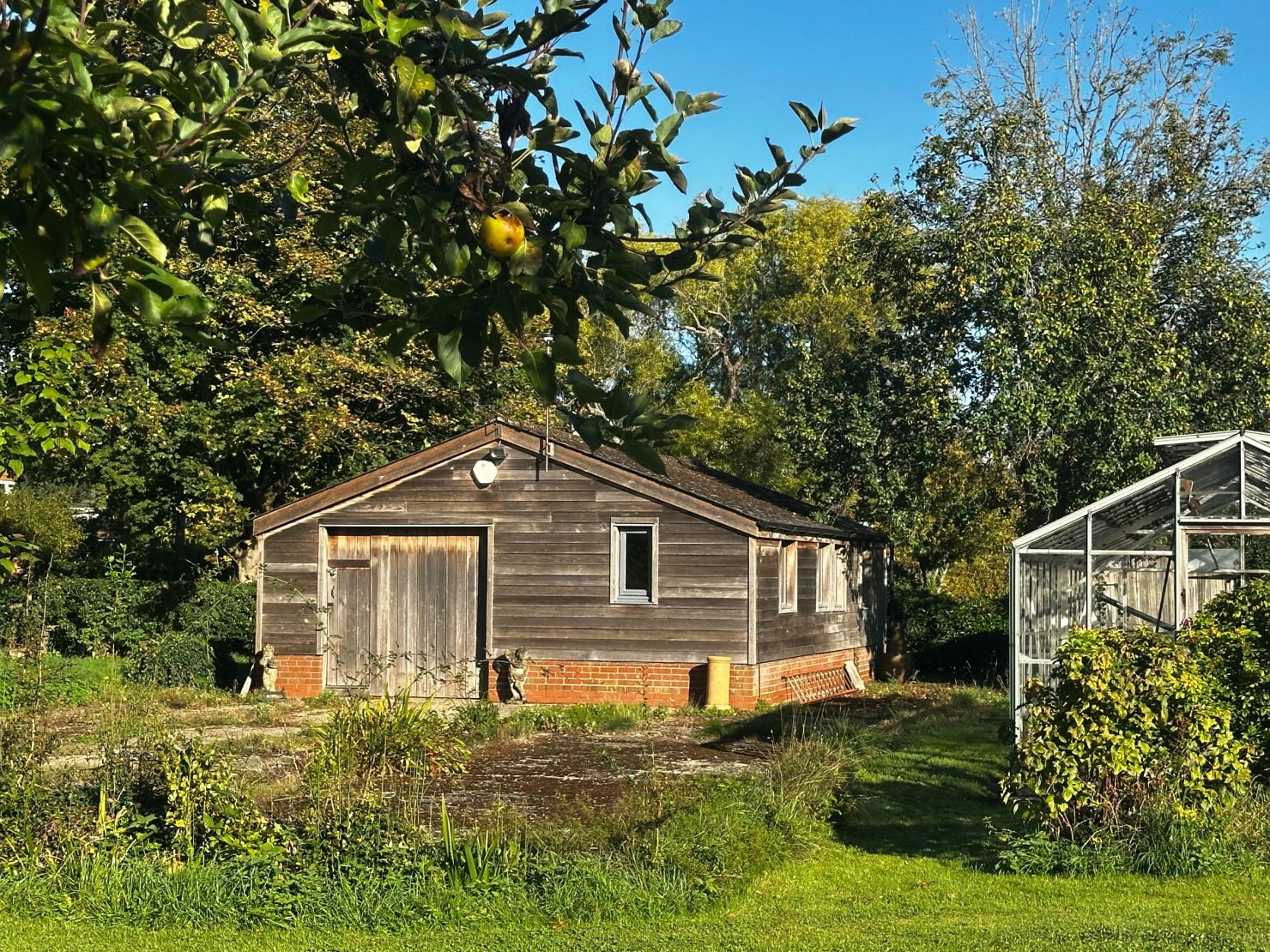 Workshop