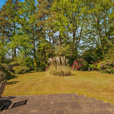 Rear Gardens