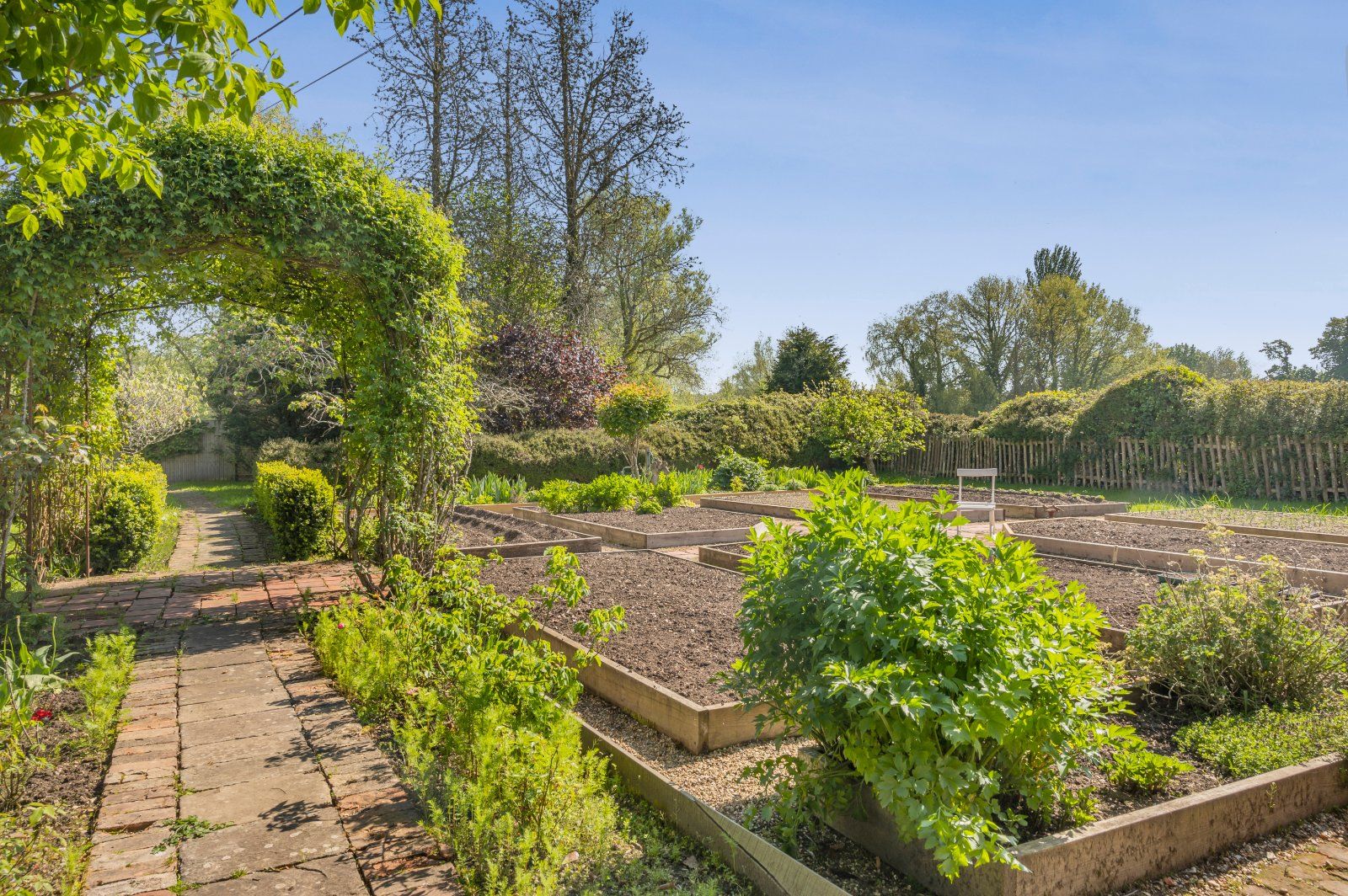 Garden