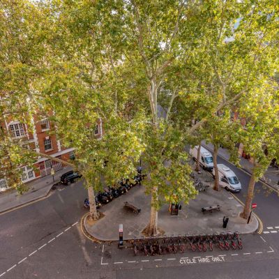 Toward Sloane Square