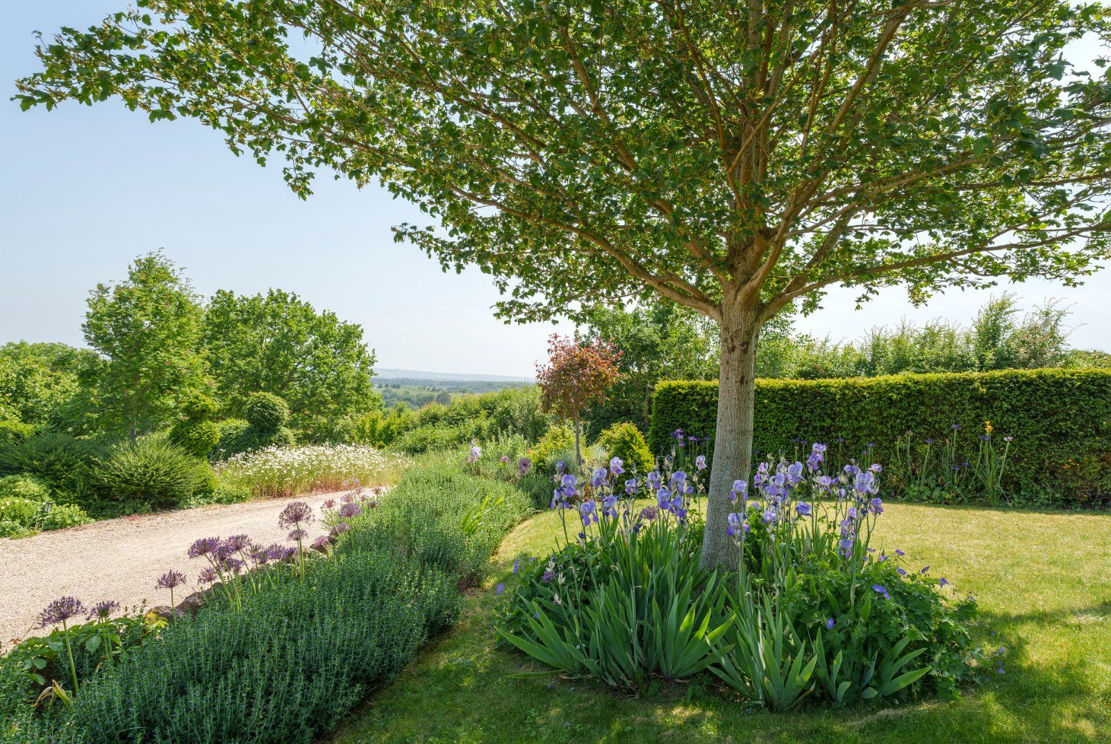 Gardens