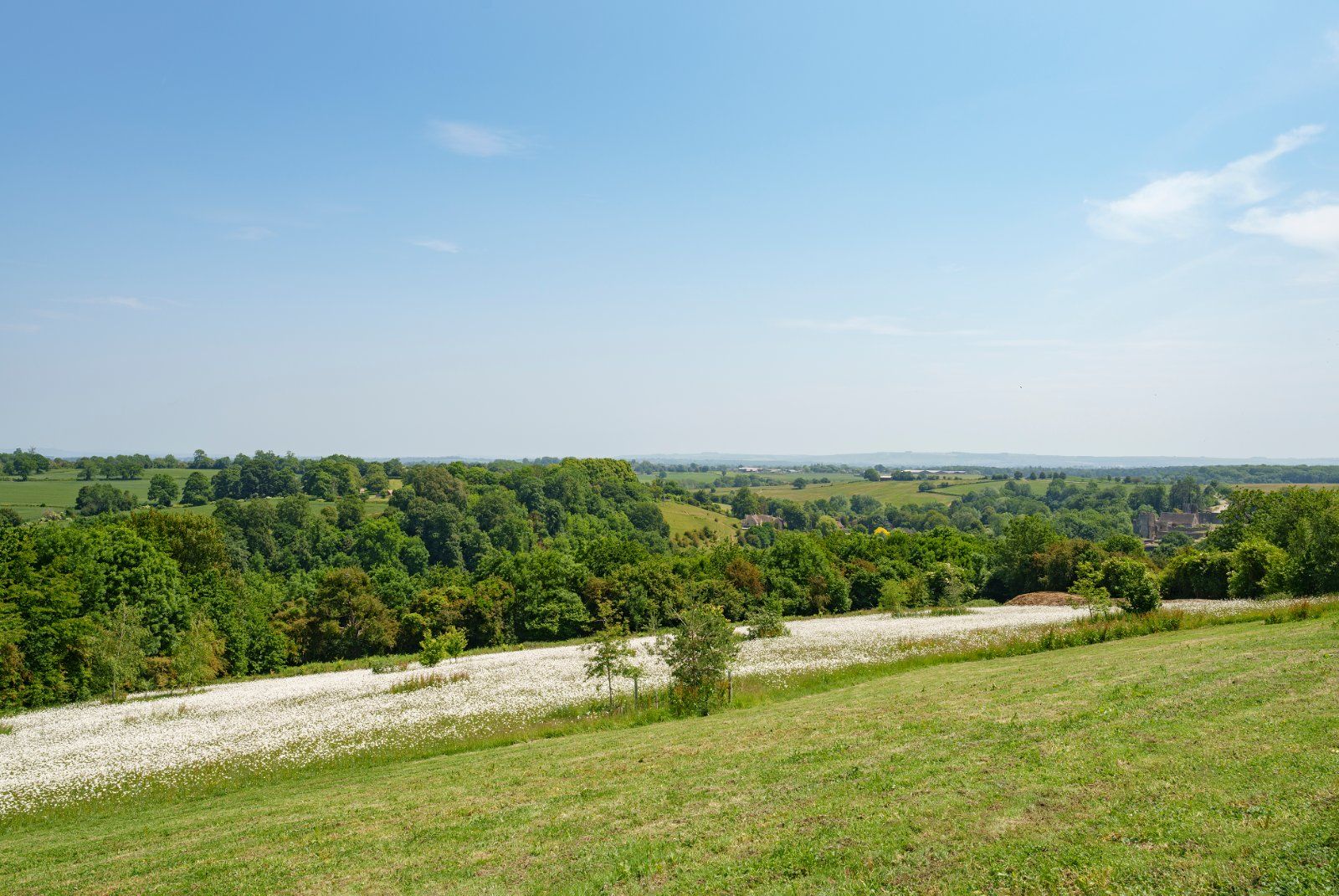 Exceptional Views