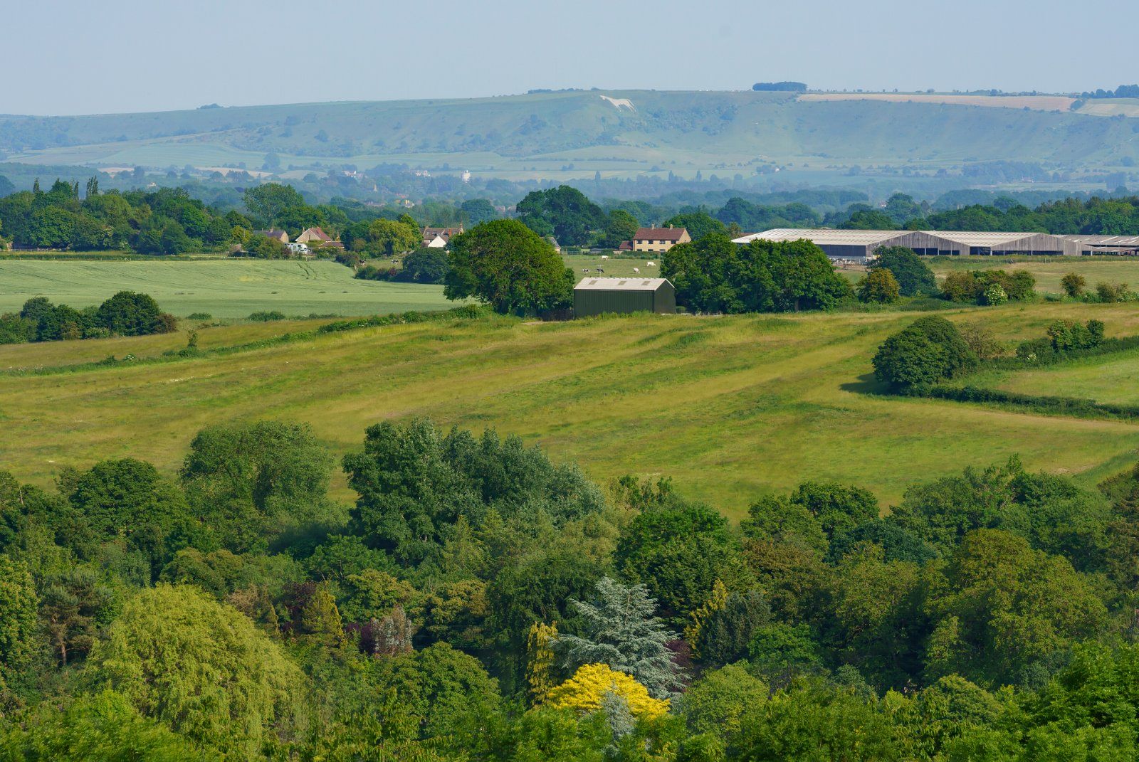 Glorious Countryside