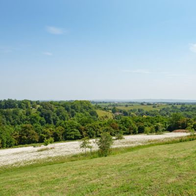 Exceptional Views