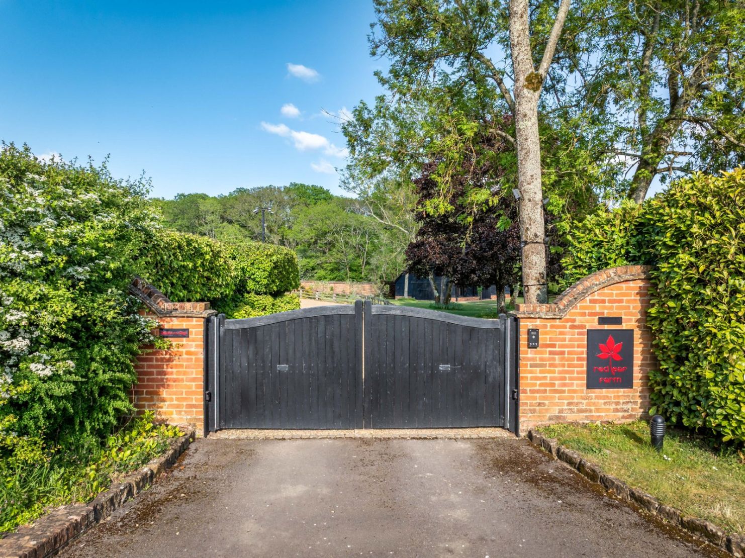 Driveway