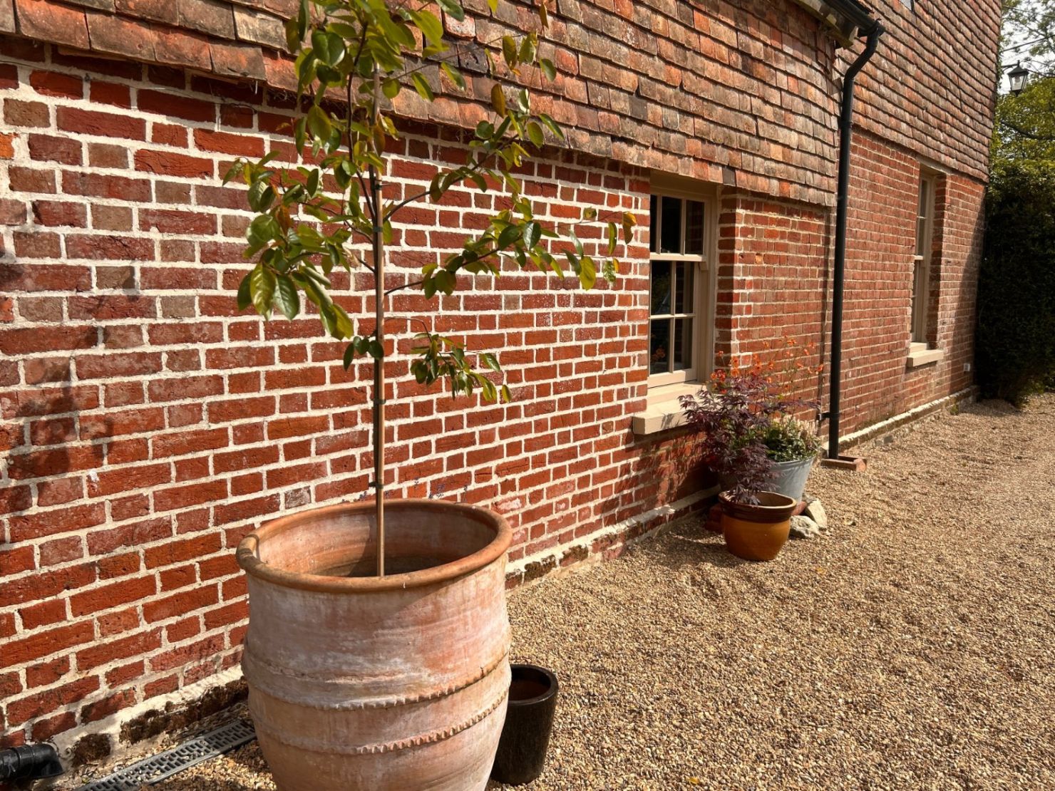 Picture No. 17
