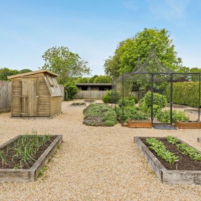 Vegetable Garden