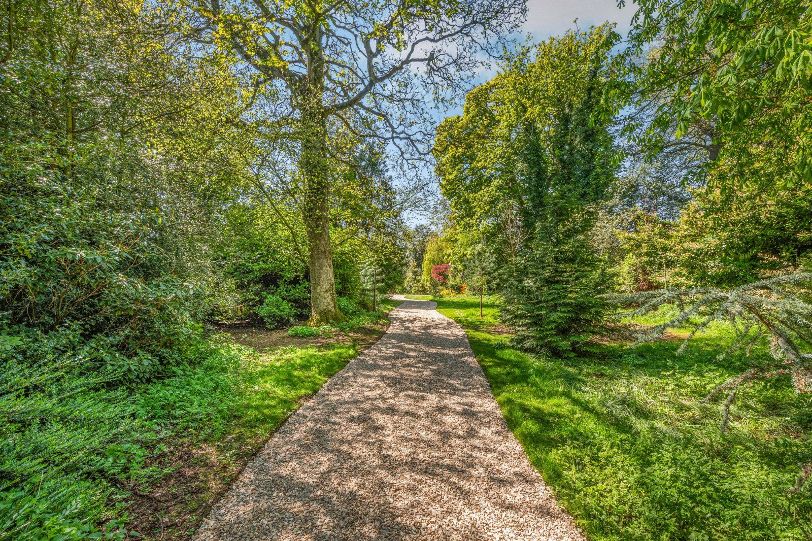 Wellfield Drive