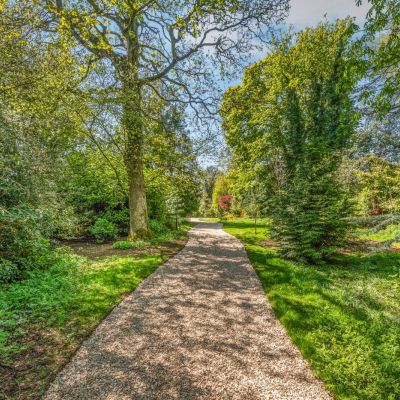 Wellfield Drive