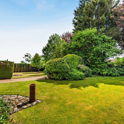 Garden & Driveway