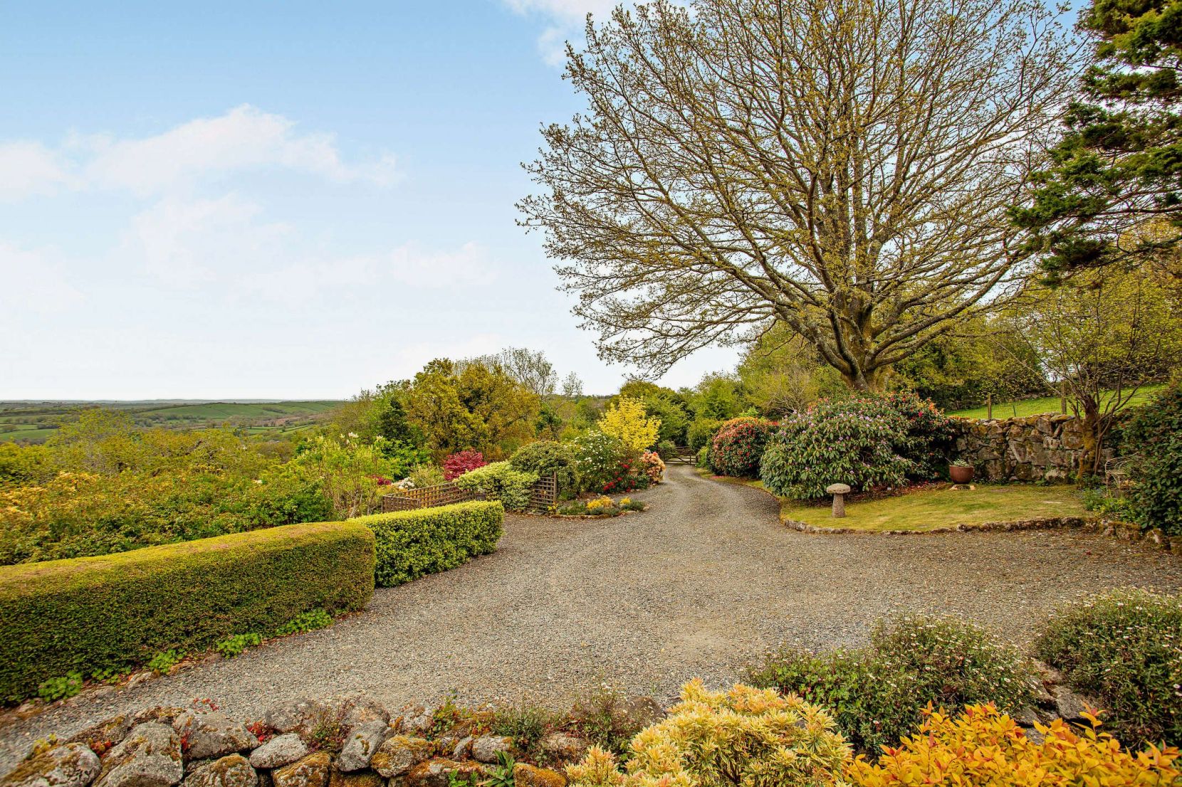 Driveway