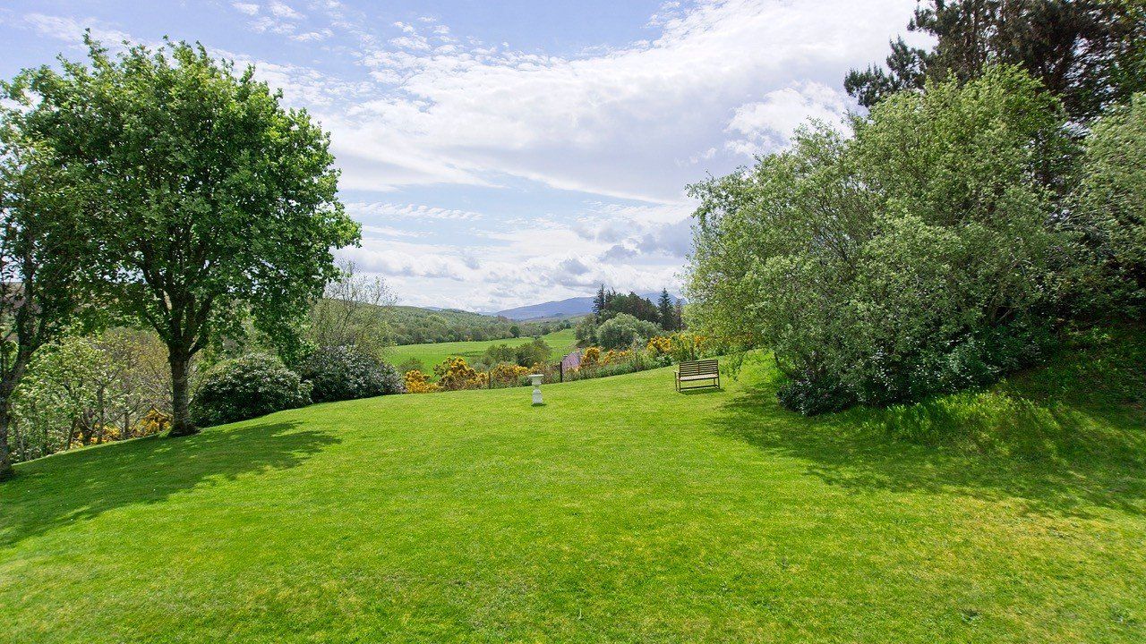 Naver Lodge