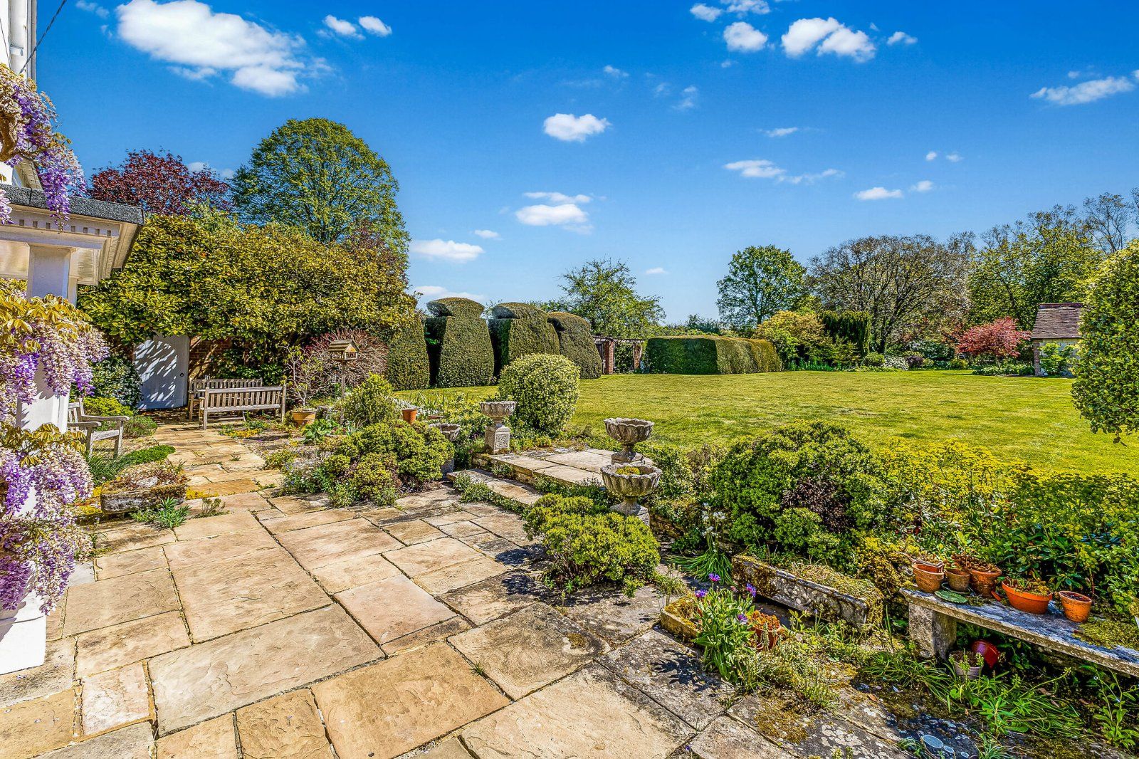 Garden