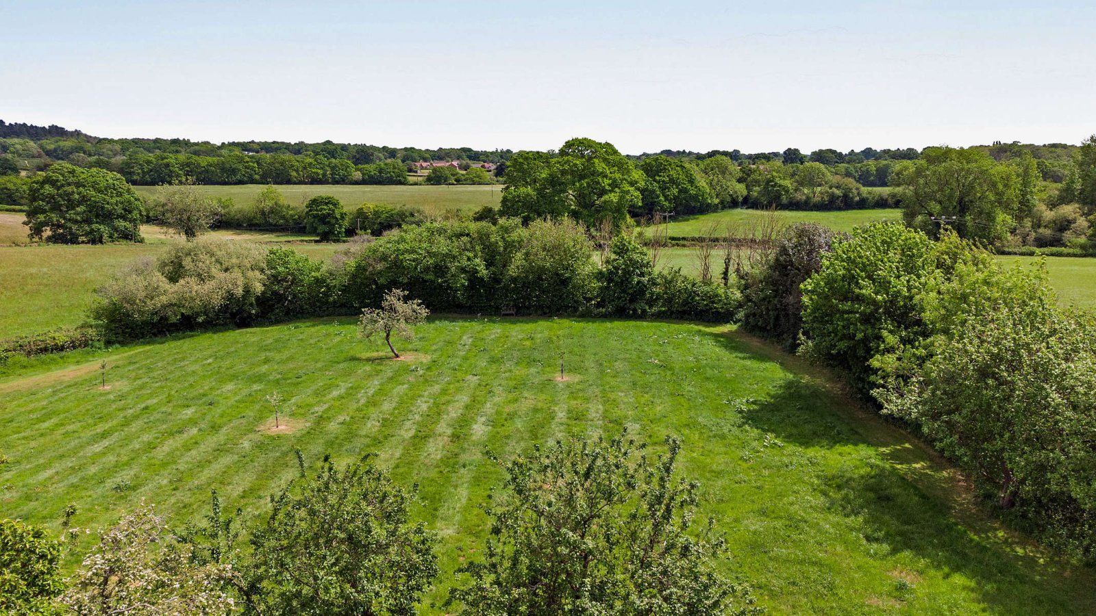 Communal Meadow