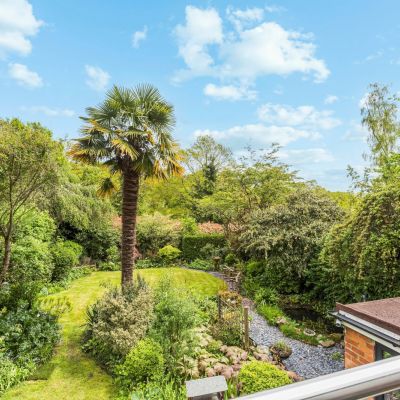 Garden From Balcony
