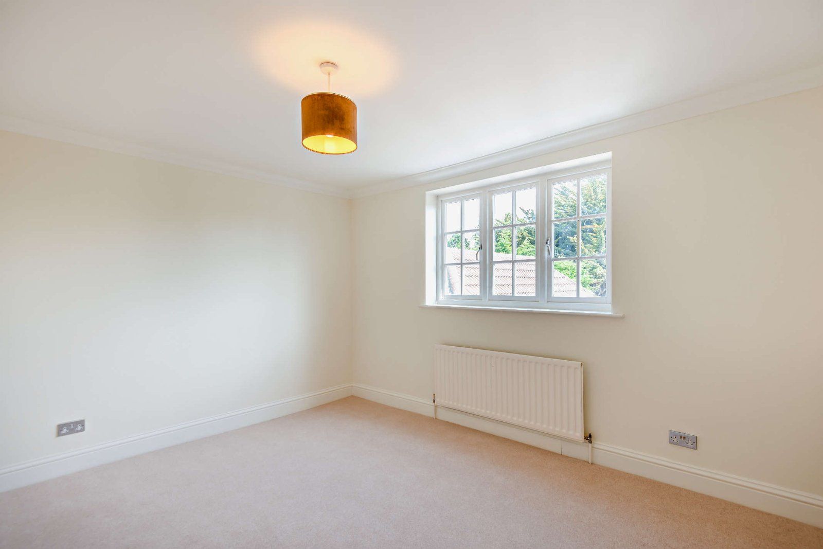 Picture No. 71
