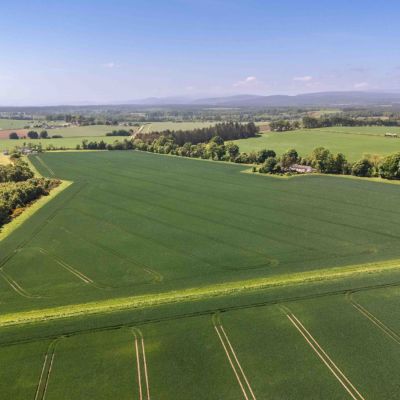 Mounteagle - Lot 1