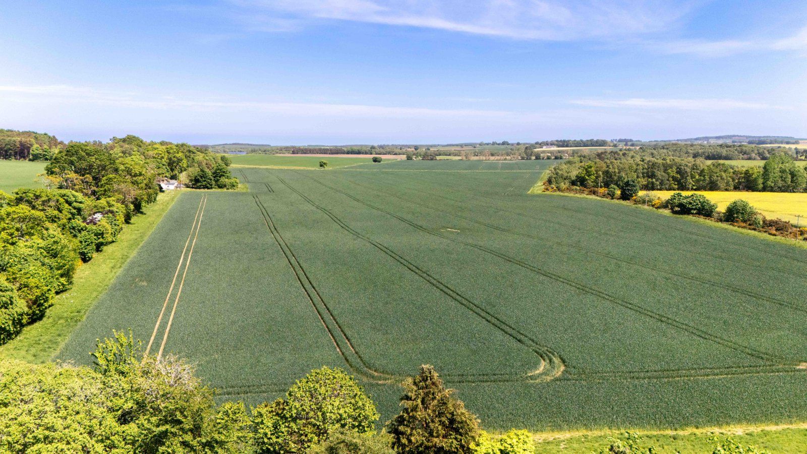 Mounteagle Estate