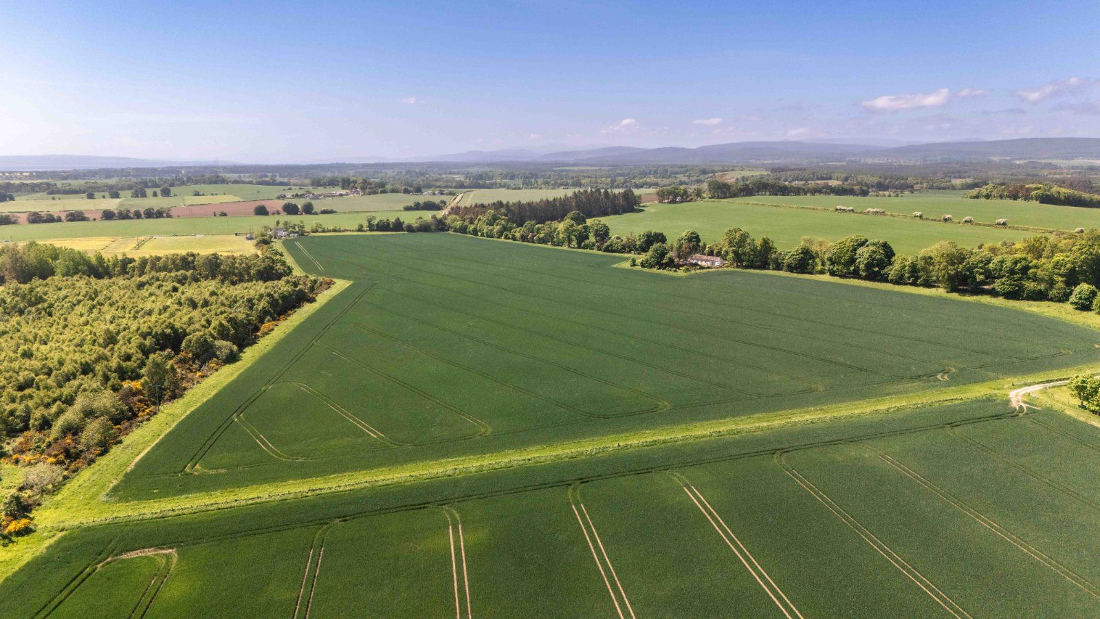 Mounteagle Estate
