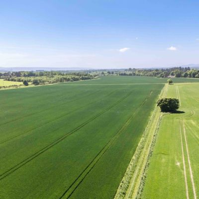 Mounteagle Estate