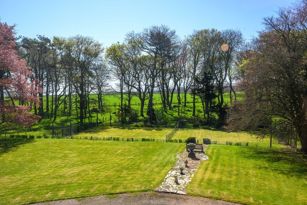Lawn