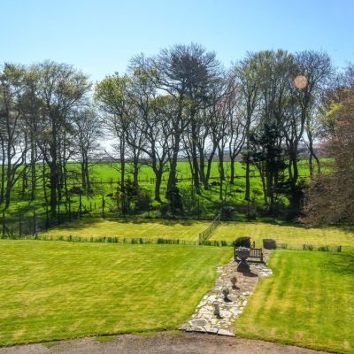 Lawn