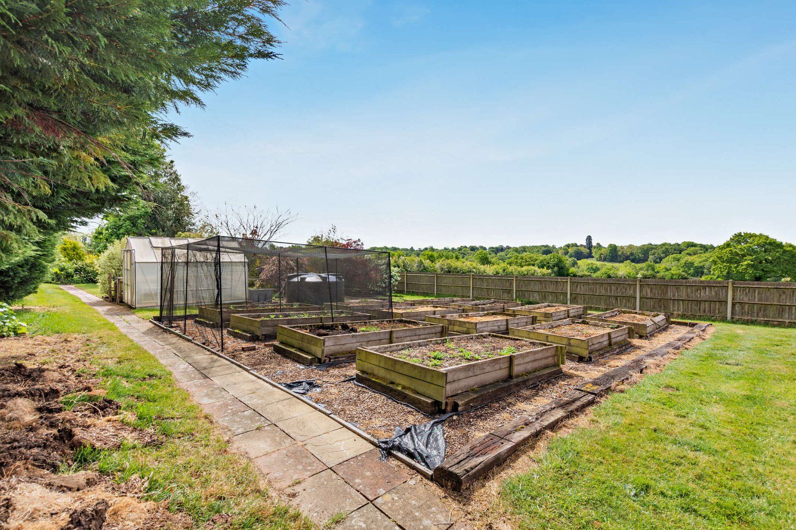 Vegetable Garden