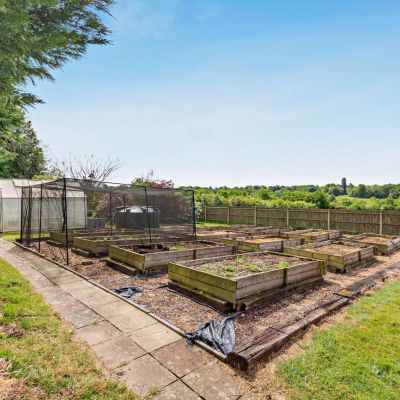 Vegetable Garden