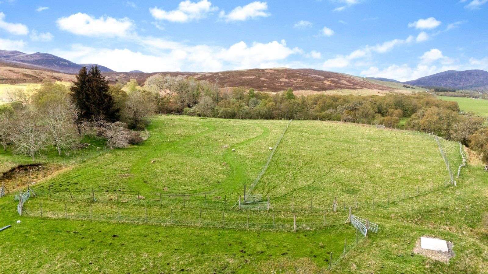 Gruinards Farm