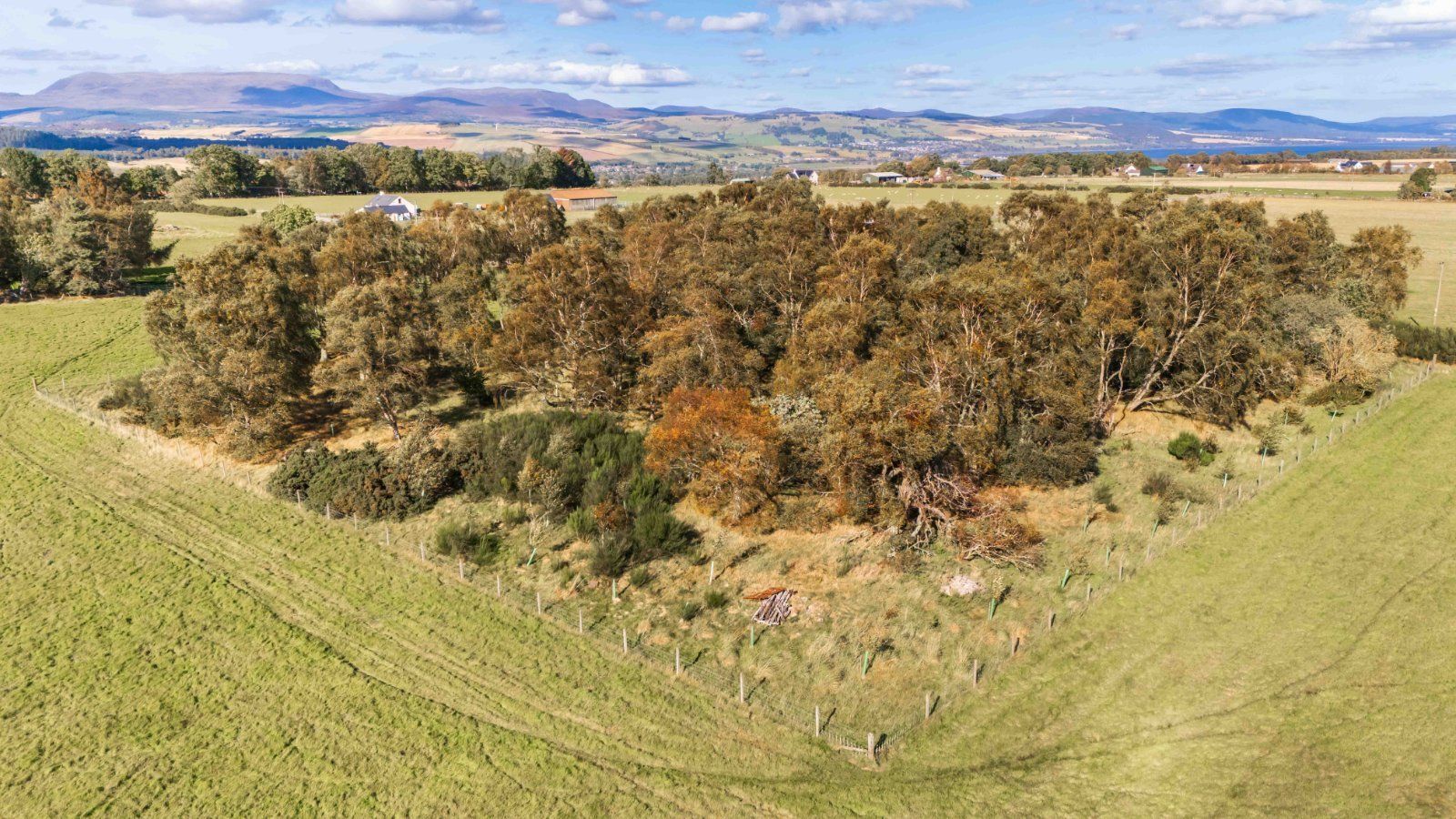 5 Newmore - Lot 1