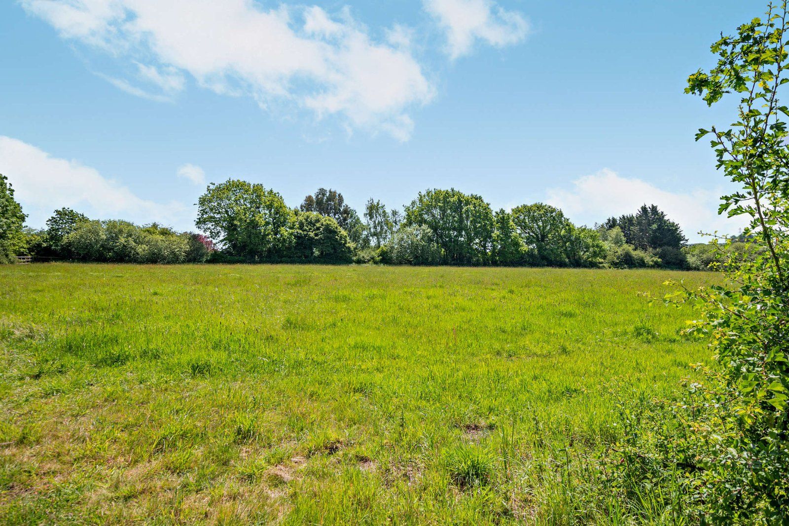 Field
