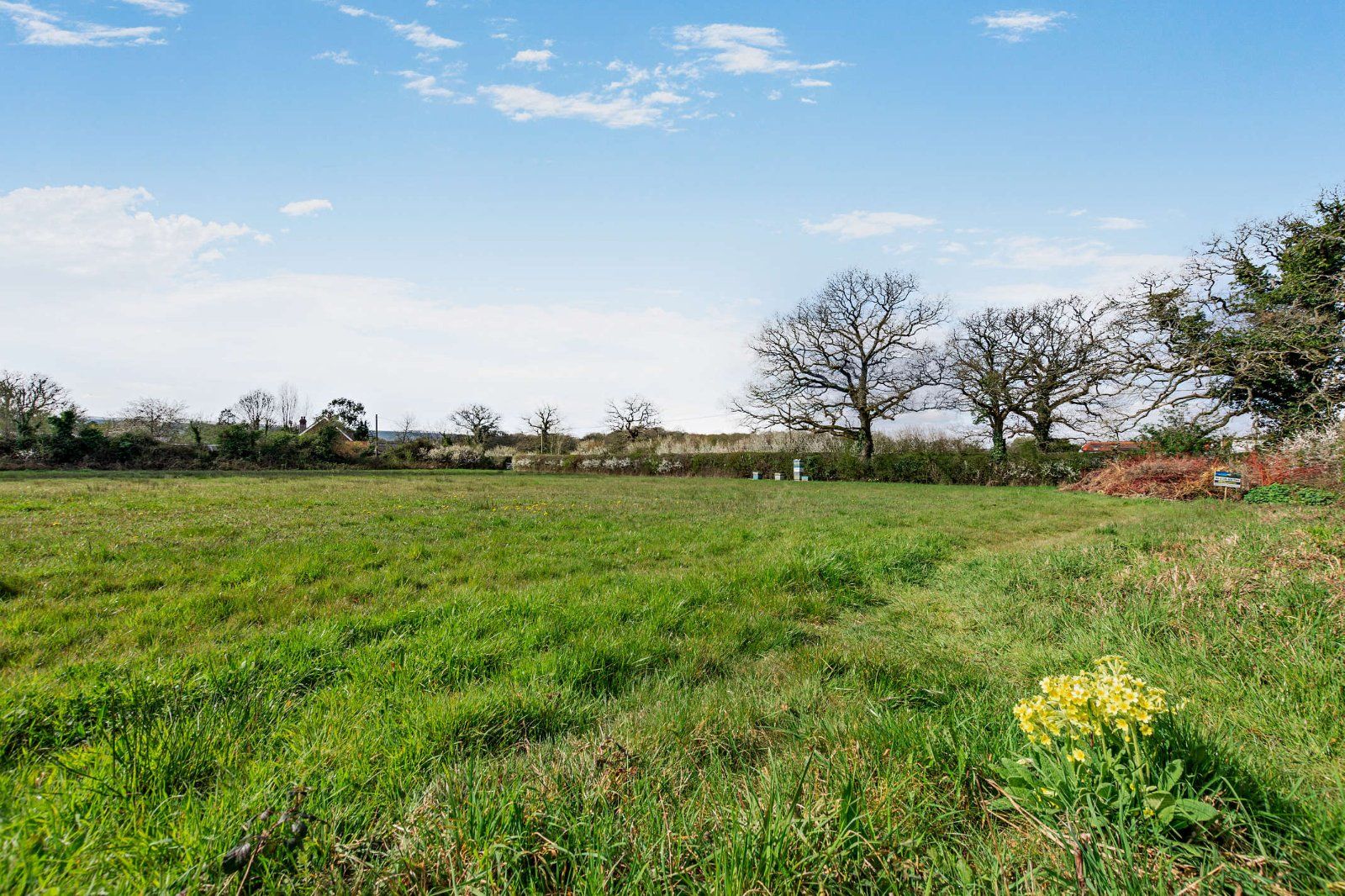 Field