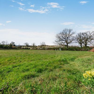 Field