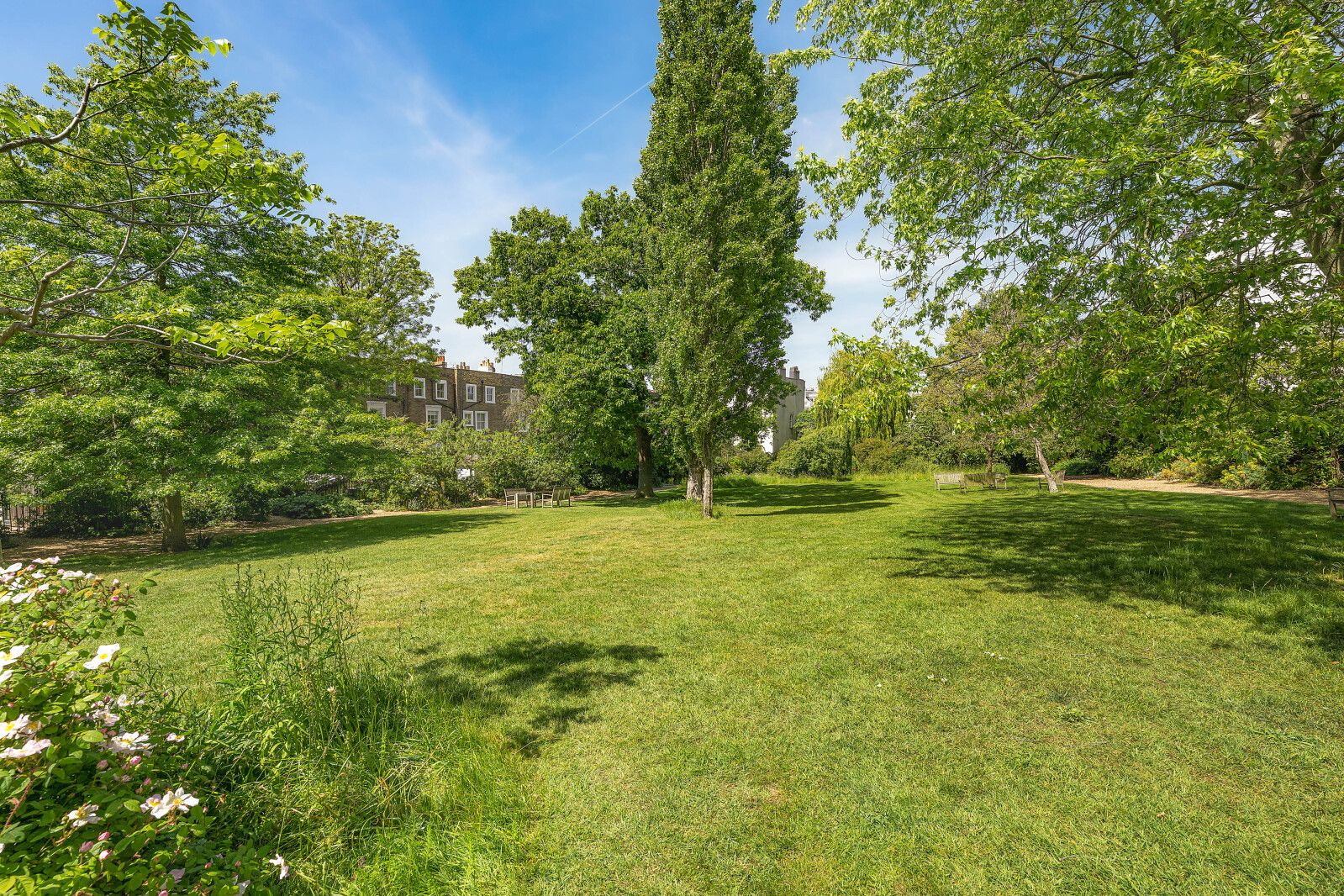 Communal Garden
